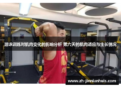 游泳训练对肌肉变化的影响分析 第六天的肌肉适应与生长情况