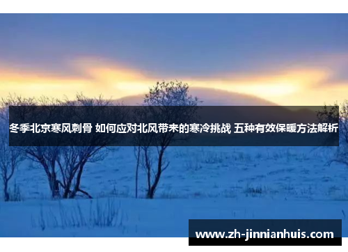 冬季北京寒风刺骨 如何应对北风带来的寒冷挑战 五种有效保暖方法解析